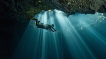  Diving in Cenotes: discovering the Mayan Underworld