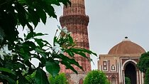  Delhi's historical 7 hours experience tour 