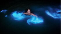 Luminous lagoon Dark night Tour from Ocho Rios and Runaway Bay Hotels