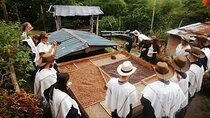 Private Tour to Coffee Farm (farm of your choice)