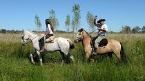 Full-Day Horseback Riding with Gauchos from Buenos Aires