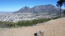 6 Days Private Discovery of Cape Town and Surroundings