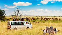 7-Days Private Safari Tour in Kenya
