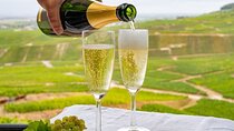 Full-Day Private Champagne Tasting in Reims and its Vineyards