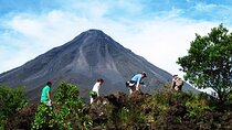 Arenal Volcano Rainforest & Natural History Tour