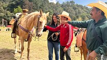 Exclusive Horseback Ride w/ Mexican Charros Family in México City