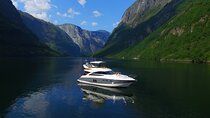 Private Cruise from Bergen to Sognefjord, Flåm and Nærøyfjord