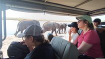 Chobe National Park Full-Day Safari Tour with Boat Ride