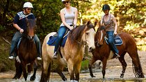 Horse Riding, Koalas & Kangaroos - Wild Australia: Private Tour