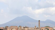Full-Day Guided Pompeii Ruins and Wine Tasting Tour