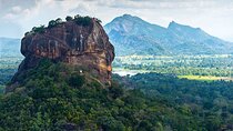 All Inclusive Sigiriya and Dambulla Private Day Tour from Colombo