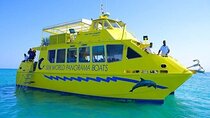 Hurghada's Wonders with Sea World Boat and Paradise Island