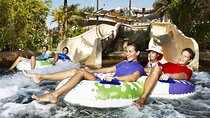 Thrills & Splashes: Wild Wadi Water Park Dubai Tour
