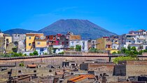 (Ercolano) Herculaneum , Half Day Private Tour