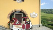 Half Day Private Tour Ape Calessino in the Barolo Langa