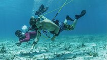 Hookah Diving, Snorkel, Parasail & Party - Bavaro Combo Adventure