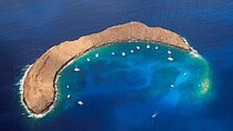 Half-Day Deluxe Molokini Snorkel Excursion in Maui