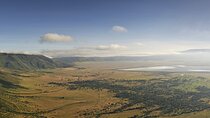 1 Day Ngorongoro Crater Group Jioning Safari