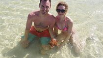 Stingrays, Starfish and Snorkeling Tour