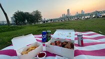 Han River sunset Chicken & Karaoke Private Tour