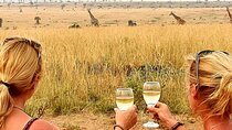 10-Day Big-7 Private Tour Experience in Uganda Safari