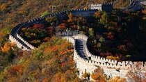 Great Wall Day Tour with Yoyo