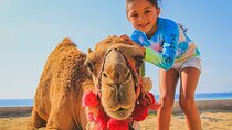 Small Group Private Camel Ride and Beach Adventure in Migrino
