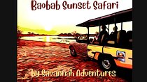 Baobab-Sunrise-Sunset-Vulture-Moonlight Safaris, 4 Options