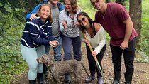 Tuscany Truffle Hunt: a 5-hour Gourmet Culinary Adventure 