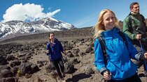 7 Day Kilimanjaro Climbing Via Lemosho Route