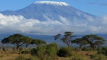 6-Day Kilimanjaro Climbing Via Machame Route