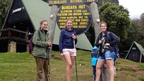 Full Day Hiking Tour to Mandara Hut in Kilimanjaro