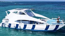 Catamaran Party Boat In Punta Cana With Pick Up