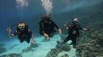Scuba Diving in Hurghada _ 2 Stops Dive With Equipments & Lunch