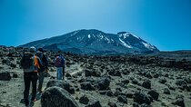 6 Day Private Machame Route Tour with Kilimanjaro Climbing