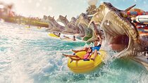 From Dubai Yas Water World Tour with Pick up and drop off