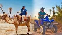 Marrakech Oasis Escape: Camel Ride & Quad Bike Adventure