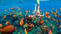 All-Inclusive Bali Snorkeling at Blue Lagoon Beach & ATV Ride
