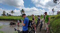 Down Hill Cycling in Bali Country Side with Local