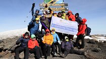 Kilimanjaro 8 Days Lemosho Route Private Tour