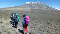 6 Day Private Tour at Kilimanjaro Rongai Route