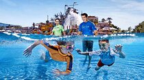Wild Wadi Waterpark Dubai Ticket With Private Transfer