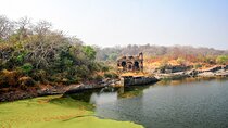 Half Day Private Trekking Tour to the Ranthambore Fort