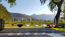Full day Cape Town Private Hosted Wine Tasting Experience