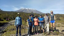 7-Day Private Rongai Route Tour with Kilimanjaro Climbing