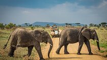 6 Days Safari-Tarangire, Serengeti and Ngorongoro Crater