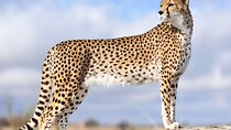 Private 3 Day Tour to Serengeti National Park