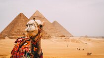 6 Hour Private Tour in Giza Pyramids, Citadel and Coptic Cairo