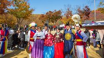 Korean Folk Village Afternoon Half day Tour 