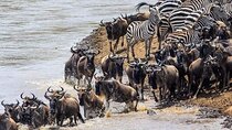 3 Days 2 Nights Maasai Mara Private Tour
